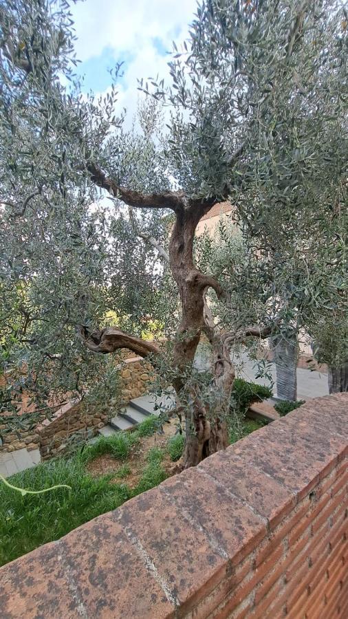 Apartamento Casina Di Alice Vinci Exterior foto